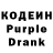 Кодеин Purple Drank nvrsk models