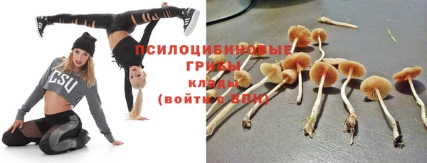 меф Алексин