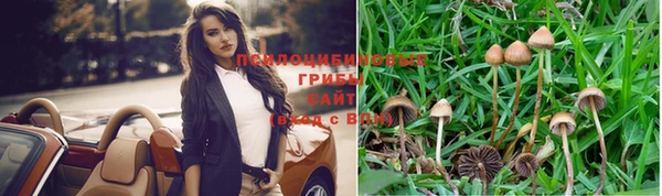 каннабис Алексеевка