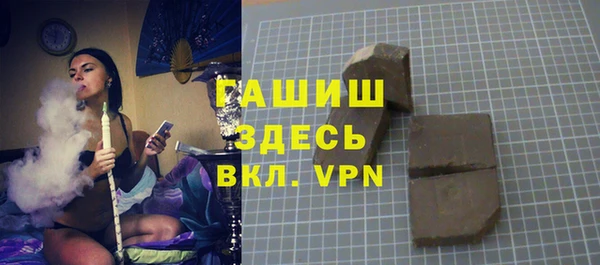 сатива Няндома