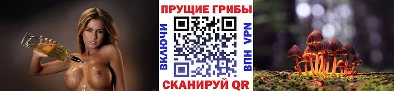 Галлюциногенные грибы Cubensis  кракен ссылки  Ревда  наркошоп 